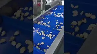 LONKIA - Garlic Paste Production Line