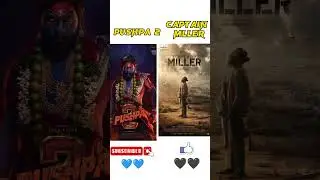 Pushpa 2 vs Captain Miller Movie Box Office Comparison | Dhanush vs Allu Arjun Movie Comparison