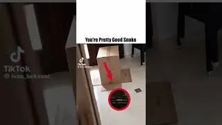 Ты довольно неплохо справляешься, змея.