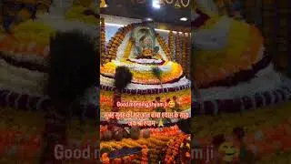baba khatu ke deewane #jaishreeshyam #shyam #khatu #bhakti