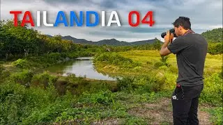 TAILANDIA 04 - BUSCAMOS AL ELEFANTE ASIATICO EN LIBERTAD