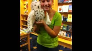 Local child finds Hedwig (READ DESCRIPTION)
