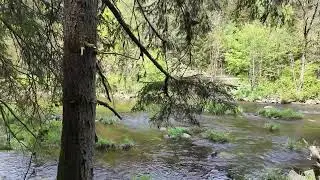 Unsere kleine Wanderung von Teisnach nach Gumpenreid auf dem Flusswanderweg incl fahrt mit Waldbahn