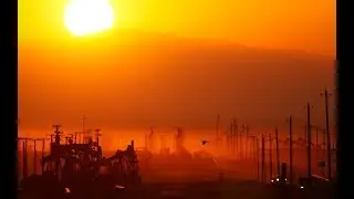 Runaway climate change could trigger 'Hothouse Earth' with 200ft sea level rises, warn scientists