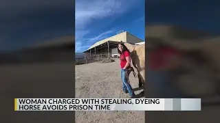 Woman charged with stealing horse avoids prison time