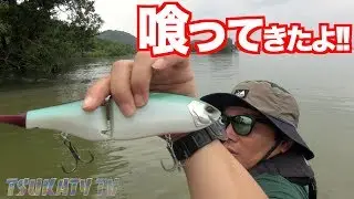 クラッシュ9のハイフロート手に入れた!!速攻投げてきたら釣れた!!!!!Kayak Fishingバス釣り動画