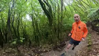 The Switzer Run