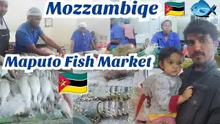 Maputo Fish Market🐟🇲🇿Visit Mercado De Pixe Maputo Mozambique 2023 @pakistanivlogerinmozzambique