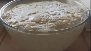 Notre levain est vivant, il am&egrave;ne la vie
