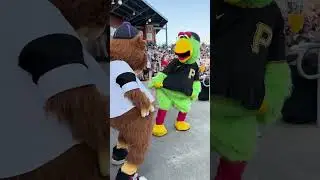 Wild Thing Appearance Montage