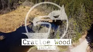 4K Drone view of Cratloe Wood - Brickhill East, Co. Clare 🇮🇪 Ireland