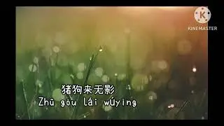 Kungfu Master Of Zodiac Karaoke Theme Song 🎶🎶