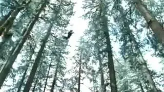 Twilight- Tears of an angel