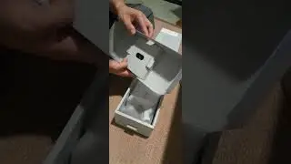 birthday present from waifu