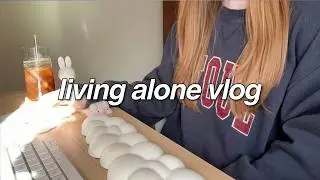 doing your best looks different every day 🗓️ quiet life, living alone vlog, nov. 2025