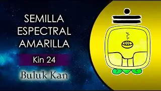 Kin 24 - Semilla Espectral Amarilla 💛 | Buluc Kan |