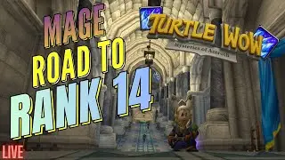 Turtle WoW - Road To Rank 14 STARTS TODAY!! (Pt.2)