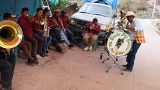 MI RESPETO PARA ESTA BANDA DE METLATONOC GRO...😱😱 ME QUITO EL SOMBRERO - son unos perros tocando🎷🎺