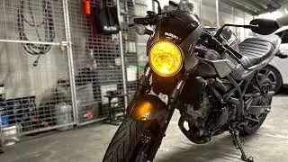 SV650 14&rdquo; Delkevic Exhaust
