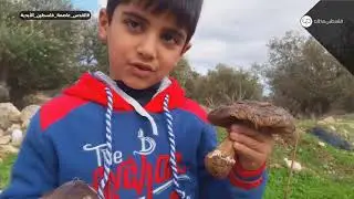 مطاردة 