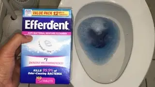 THERE'S A PARTY IN MY TOILET! Do Denture Tablets Clean Toilets?