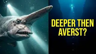 &ldquo;Monsters from the Midnight Zone Deep Ocean Creatures&rdquo;