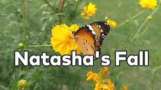 Natasha's Fall - The Whole Other [Audio Library Release] . Free Copyright-safe Music