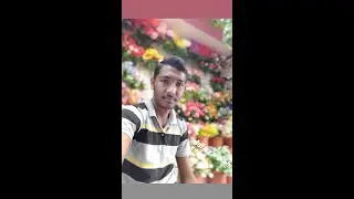HTML H1 tag in HTML Android mobile phone S1 modify in CSS