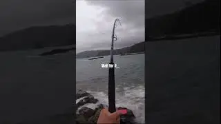 Wait for it&hellip; 😳 awesome catch off the rocks