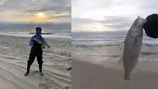 FALL RUN STRIPED BASS (COLD FRONT)-LONG ISLAND NEW YORK