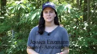 Seatuck - The American Chestnut Project