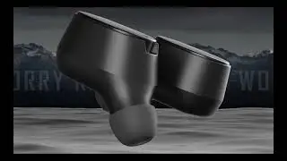 True wireless BOOM 300