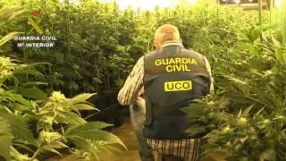 Operaci&oacute;n Keluz. Operaciones de la Guardia Civil. UCO, Barcelona