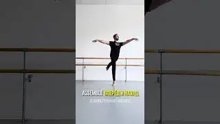 Виды ASSEMBLE | АССАМБЛЕ