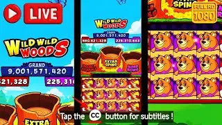 [LIVE] Игровые автоматы Cash Frenzy Wild Wild Woods