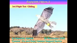 Ornithopter ハクトウワシ型羽ばたき機　 完成！！　Eagle149-3 Wingspan 240cm：3rd Flight Test  Gliding