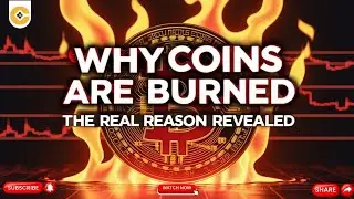 Why Crypto Projects 🔥 BURN Their Coins | The Real Reason Explained!