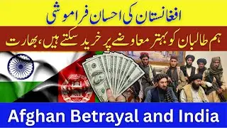 Afghanistan Betrayal to Pakistan| Documentary on Afghan Files