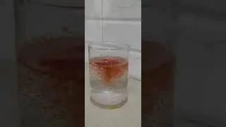 #water and red chilli magic ✨✨ (short video)
