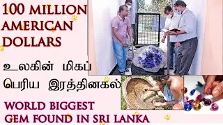 World's largest blue star sapphire found in Sri Lanka||😲Value Of Over 100 மில்லியன் America Doller