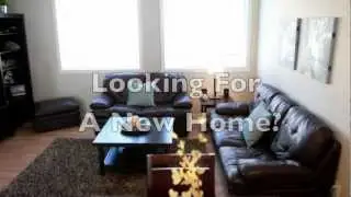 Realtor Edmonton AB | Sara Jessie Real Estate Services Edmonton Ab (780)457-5657