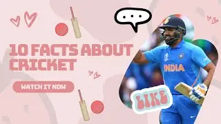 Intresting Facts About Cricket In Telugu || Top 10 Unknown Cricket Facts || Cricket Escape