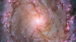 Помощь в классе &ndash; Южный вертлюг M83