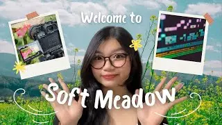 Welcome to Soft Meadow 🌿