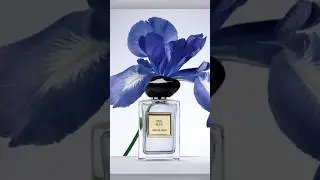 НОВЫЙ ИРИС ОТ ARMANI PRIV&Eacute; 2025🩶 #парфюмерия