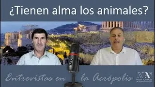 ¿Tienen alma los animales? Entrevistas en la Acrópolis 002