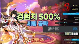 엘소드 경험치 세팅 완전 공략