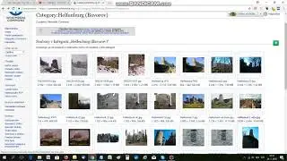 Jak vložit obr&aacute;zek z Wikipedia - Wikimedia s uveden&iacute;m autora