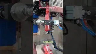 hello boss,this heigh speed melon seeds packing machine is suitable for you,if you have nuts factory