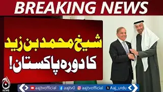 Sheikh Mohammed bin Zayed | Pakistan Visit | Bilateral Talks & Regional Security - Aaj Pakistan News